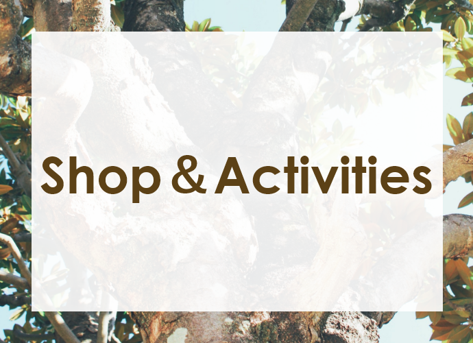 Shop＆Activities